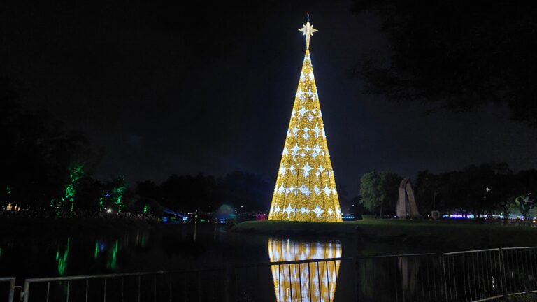 Magia de Natal no Parque Ibirapuera: um espetáculo inesquecível